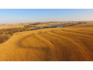 Property photo 37 - LAND AUCTION - 664+/- ACRES OFFERED IN 17 TRACTS IN CASS CO., NEBRASKA